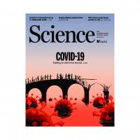 11 MARCH 2022, VOL 375, ISSUE 658 
Science