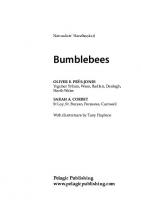 Bumblebees (Vol. 6) (Naturalists' Handbooks, Vol. 6) [3rd Revised & enlarged]
 1907807063, 9781907807060