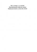 De la patria a la nación. Historiografía peruana desde Garcilaso hasta la era del guano [1 ed.]
 9786124125072