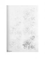 Draw 50 Flowers, Trees and Other Plants: The Step-By-Step
 9780385471503, 0385471505