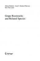 Grape Rootstocks and Related Species
 3030994066, 9783030994068