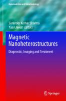 Magnetic Nanoheterostructures: Diagnostic, Imaging and Treatment
 9783030399238, 3030399230