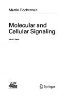 Molecular and Cellular Signaling  [1 ed.]
 0387221301, 9780387221304, 9780387260150