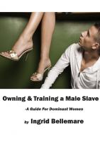 Owning and Training a Male Slave