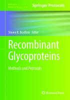 Recombinant Glycoproteins: Methods and Protocols (Methods in Molecular Biology, 2762)
 1071636650, 9781071636657