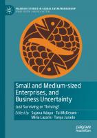 Small and Medium-sized Enterprises, and Business Uncertainty: Just Surviving or Thriving? (Palgrave Studies in Global Entrepreneurship)
 9819948436, 9789819948437