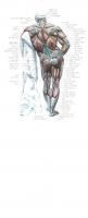 Strength Training Anatomy - 2nd Edition [2 ed.]
 0736063684, 9780736063685